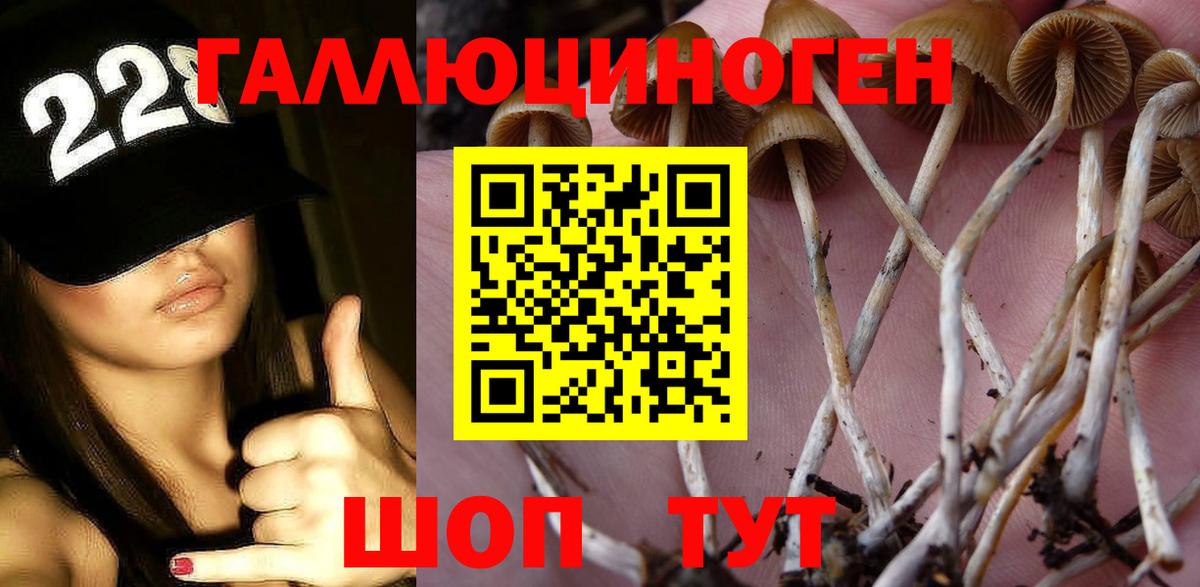Псилоцибиновые грибы мухоморы Грозный