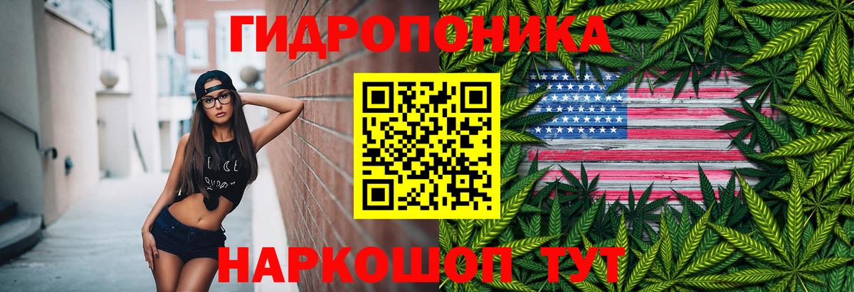 Шишки марихуана AK-47 Грозный